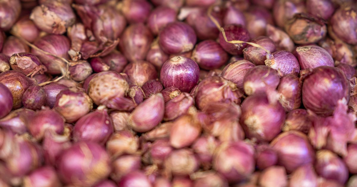Bawang Merah Iris vs Halus: Pengaruhnya pada Rasa Masakan