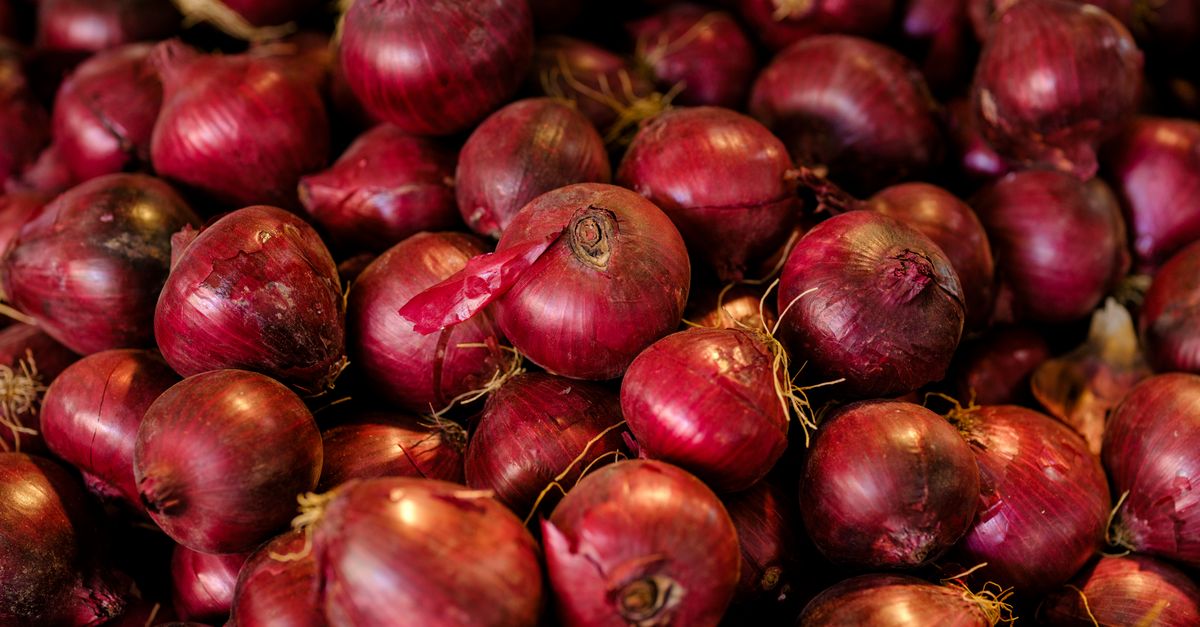 Bawang Merah untuk Rambut Rontok: Mitos atau Fakta Ilmiah?