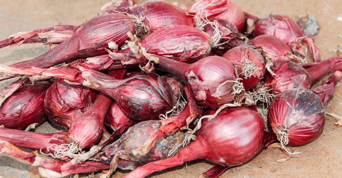 Bawang Merah Wirosari Grobogan: Kualitas Terbaik untuk Bisnis Anda