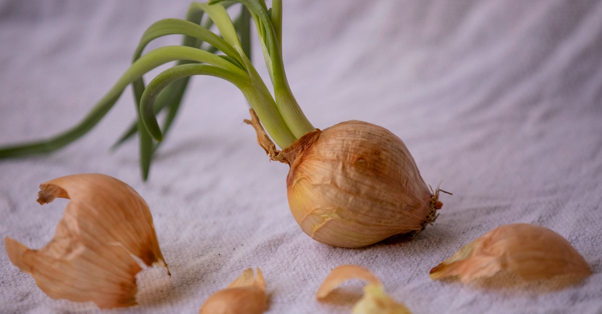 Cara Mengatasi Masuk Angin dengan Bawang Merah: Panduan Lengkap