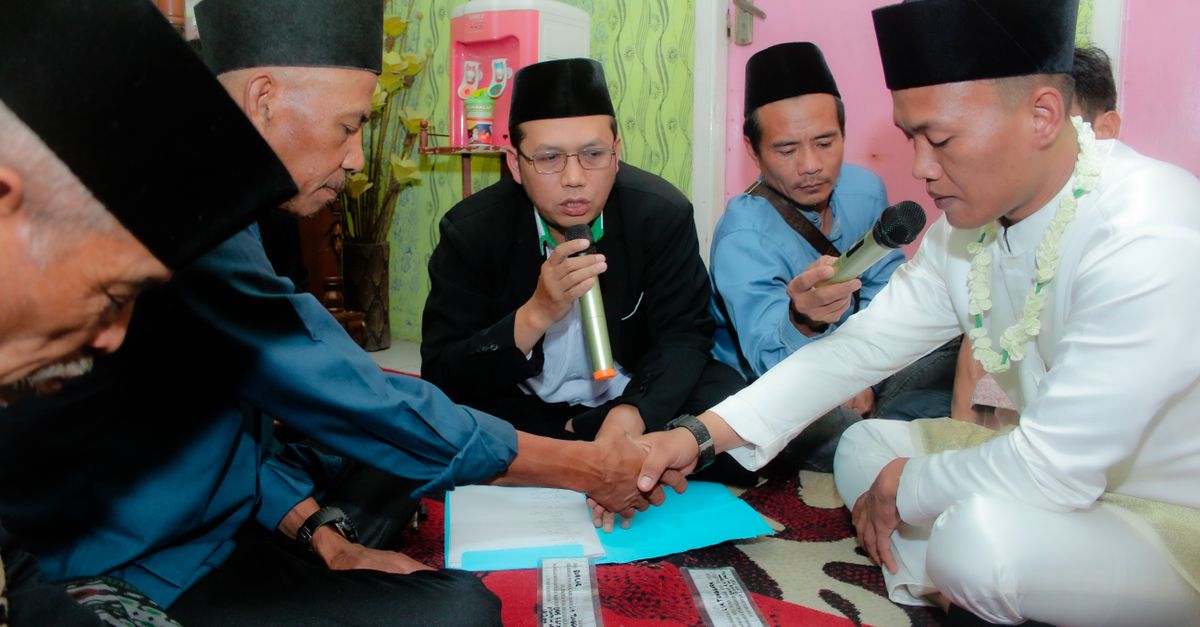 Panduan Lengkap: Ciri-Ciri Bawang Merah Siap Panen Terbaik