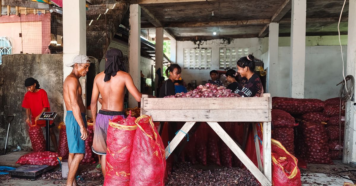 Rahasia Harga Bawang Merah Grosir Stabil: Apa Saja Faktornya?