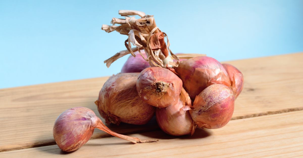 Panduan Memilih Bawang Merah Terbaik untuk Industri Kecap Anda