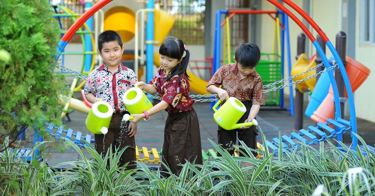 Manfaat Pupuk Hayati: Kunci Bawang Merah Wirosari Unggul