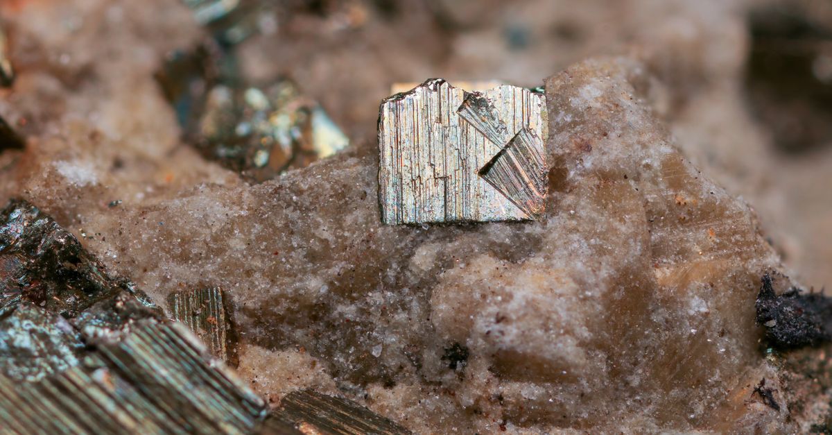 Rahasia Mineral Tanah Grobogan untuk Bawang Merah Unggul