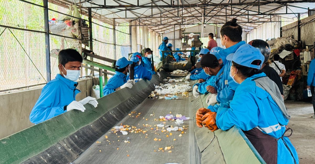 Panduan Efektif Sorting Bawang Merah Grosir untuk Kualitas Prima