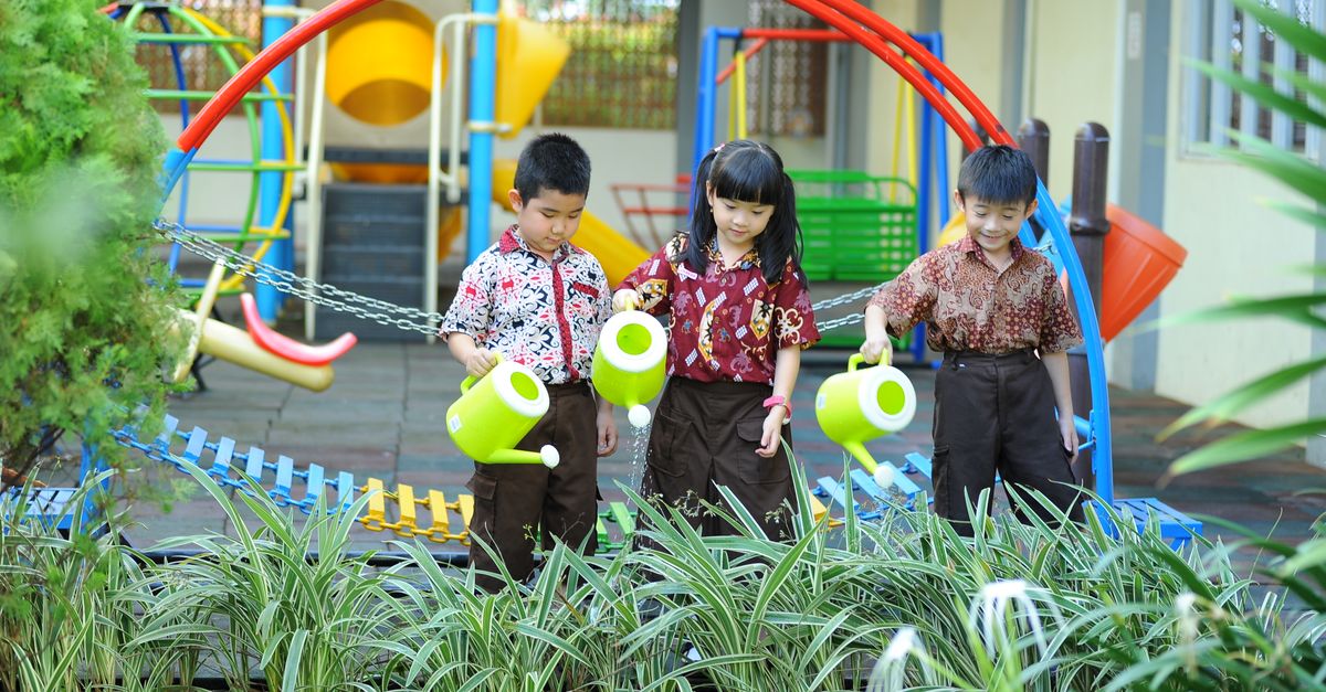Metode Ramah Lingkungan Pencegahan Kutu Daun Bawang Merah Efektif