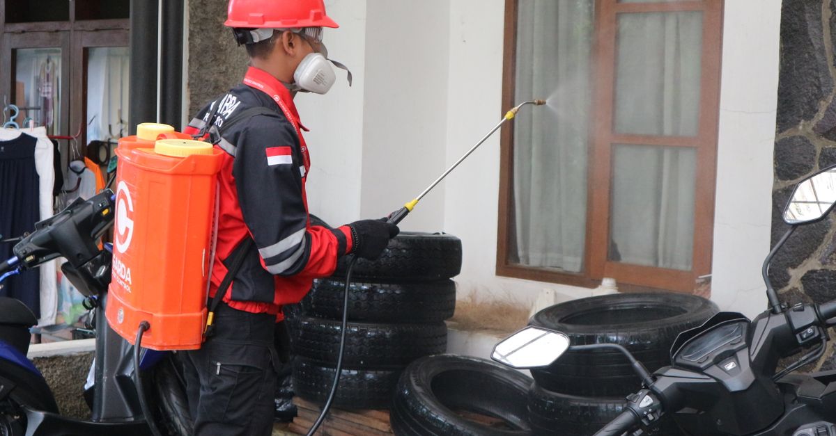 Strategi Efektif Pengendalian Hama Thrips Bawang Merah Grobogan
