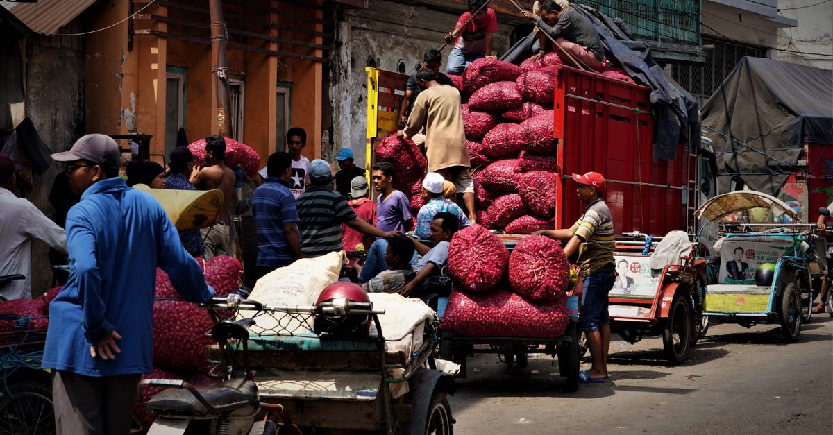Pengiriman Bawang Merah Grosir Aman ke Seluruh Indonesia