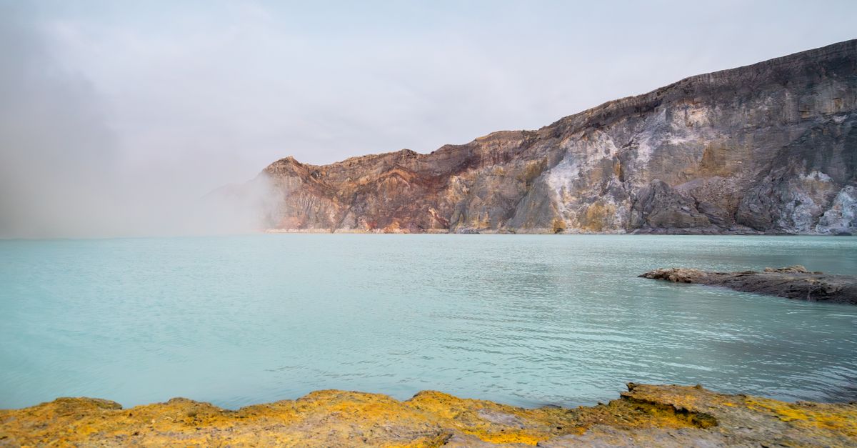 Peran Penting Sulfur Tanah Grobogan untuk Bawang Merah Unggul