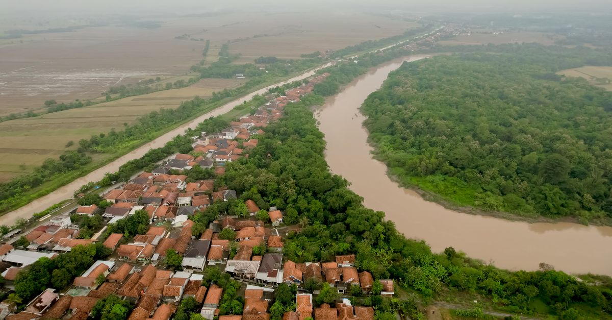 Strategi Manajemen Air Hujan Efektif Budidaya Bawang Merah Grobogan