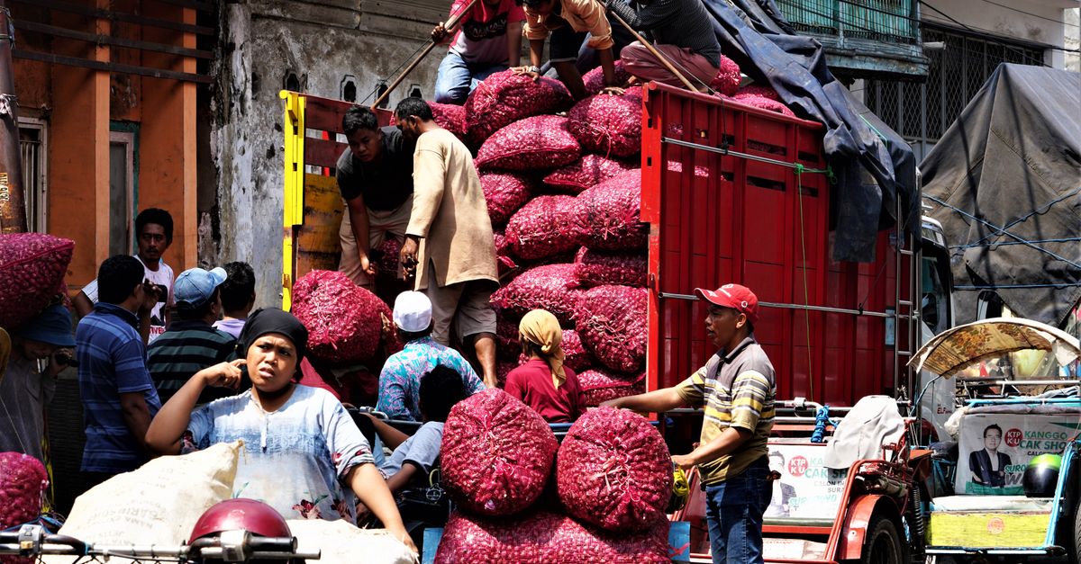 Strategi Pemasaran Bawang Merah Efektif: Raih Untung Maksimal
