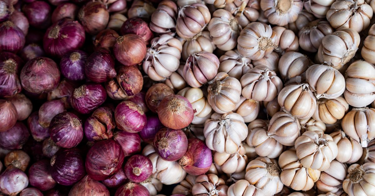 Jitu Memilih Supplier Bawang Merah Terpercaya: Panduan Lengkap
