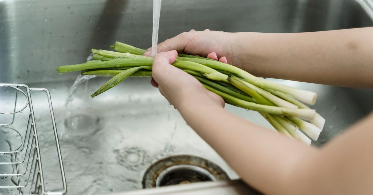 Waspada Hawar Daun Bawang Merah: Gejala, Pencegahan & Dampaknya